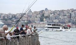 İstanbullular sahillerde güzel havanın tadını çıkardı