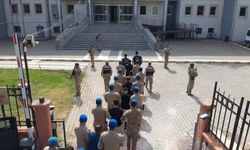 Şanlıurfa'da dev uyuşturucu operasyonu