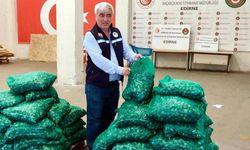 Kapıkule'de 760 kilogram kum midyesi ele geçirildi