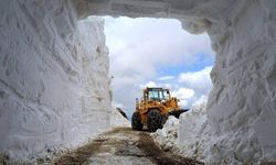 Bingöl'de mayıs ayında 3 metrelik kar tünelleri