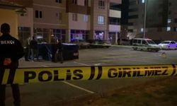 Dorukhan Büyükışık dosyasıyla ilgili 26 gözaltı kararı