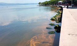Kocaeli'de deniz turuncuya döndü
