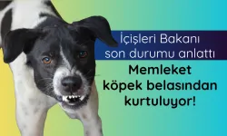 Bakan Çiftçi'den başıboş köpekler hakkında açıklama
