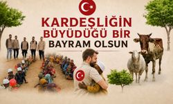 Kurban emanetini taşırken STK’lara ve gönüllülere notlar