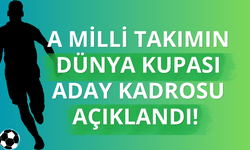 A Milli Takım'ın geniş aday kadrosu açıklandı!