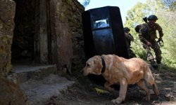 EFES-2026'da nefes kesen operasyon: Terör inleri temizlendi