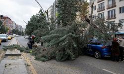 Ankara'yı şiddetli rüzgar vurdu
