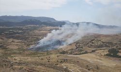 Çanakkale'de ormanlık alanda yangın çıktı
