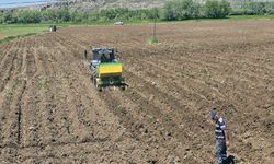 Sivas'ta sulu tarım yeniden başladı
