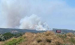 İzmir'de yangın makilik alana sıçradı