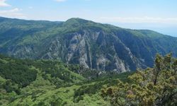 Kazdağları Milli Parkı'nın büyük bölümü ziyarete kapatılıyor