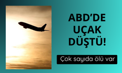 ABD'de uçak düştü! Çok sayıda ölü var