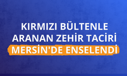 Kırmızı bültenle aranan uyuşturucu kaçakçısı Mersin'de yakalandı