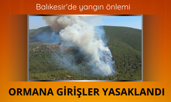 Balıkesir'de ormanlık alanlara girişler yasaklandı