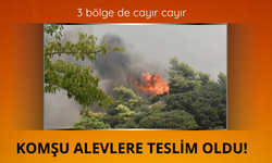 Yunanistan 3 bölgede yangınla mücadele ediyor