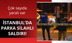 İstanbul'da parka silahlı saldırı! Çok sayıda yaralı var