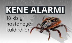 Kene kabusu devam ediyor!