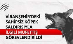 Viranşehir'deki sahipsiz köpek saldırısıyla ilgili müfettiş görevlendirildi