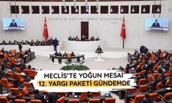 12. Yargı Paketi Meclis Genel Kurulu'nda görüşülecek