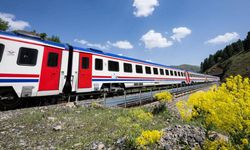 TCDD otla mücadele kapsamında tren yollarında ilaçlama yapacak