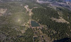 Ankara Çubuk'ta ormanlık alanlara girişler yasaklandı