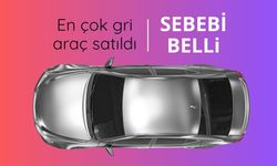 En çok gri otomobil satıldı