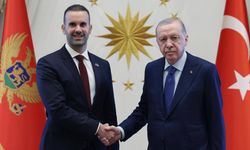 Erdoğan, Karadağ Başbakanı Spajic'i kabul etti
