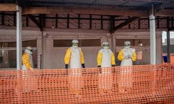 Afrika'da ebola virüsü alarmı sürüyor
