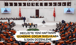 Meclis'te yeni haftanın gündemi: Çocuk suçlulara ilişkin düzenleme