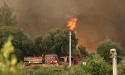 Fethiye'deki orman yangınına müdahale ediliyor