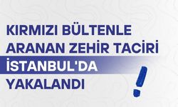 Kırmızı bültenle aranan zehir taciri İstanbul'da yakalandı