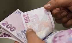 Temmuz ayı yaşlı ve engelli aylıkları hesaplarda