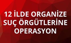 12 ilde organize suç örgütlerine operasyon: 74 gözaltı