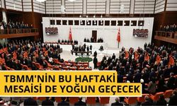 TBMM'nin bu haftaki mesaisi de yoğun geçecek