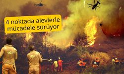 4 noktada alevlerle mücadele sürüyor