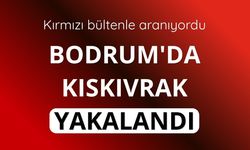 Interpol tarafından kırmızı bültenle aranan zanlı yakalandı