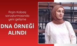 Adalet Bakanlığı: Rojin Kabaiş'in kıyafetlerinden DNA örneği alındı