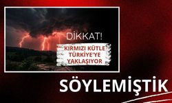 İstanbul'da fırtınada ağaçlar devrildi