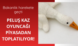 Bakanlık harekete geçti! Peluş kaz oyuncağı piyasadan toplatılıyor