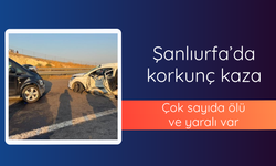 Şanlıurfa'da korkunç kaza! Çok sayıda ölü ve yaralı var
