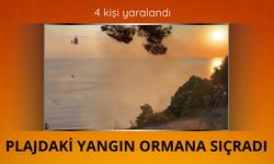 Büyükada'da plajda yangın