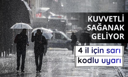 Meteoroloji'den 4 il için sarı uyarı: Kuvvetli yağış bekleniyor