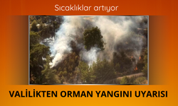 Sıcaklıklar artıyor! Valilikten orman yangını uyarısı
