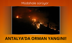 Antalya'da orman yangını sürüyor