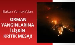 Bakan Yumaklı'dan orman yangınlarına ilişkin açıklama
