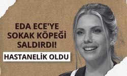 Eda Ece'ye sokak köpeği saldırdı! Hastanelik oldu