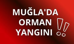 Muğla'da orman yangını