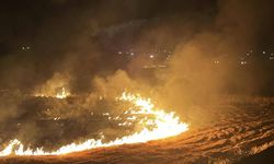 Şanlıurfa'da anız yakan kişilere 21,2 milyon lira ceza kesildi