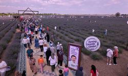 Türkiye'nin en büyük Lavanta Bahçesi'nde festival heyecanı