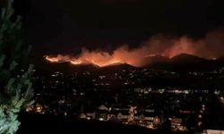 Nevada alevlere teslim: 42 bin kişi için tahliye emri